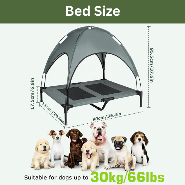 PETYPURE Eleveted Dog Bed With Canopy