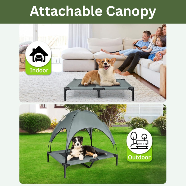 PETYPURE Eleveted Dog Bed With Canopy