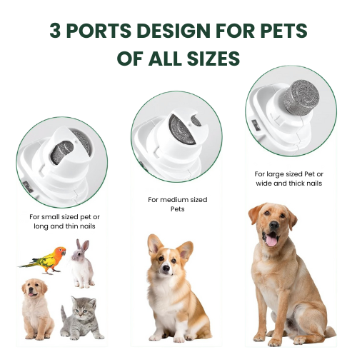 Petypure 2-in-1 Electric Dog nail Clippers