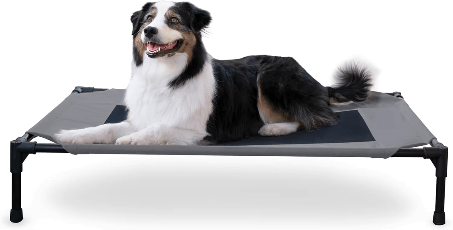 PETYPURE Cooling Elevated Dog Bed