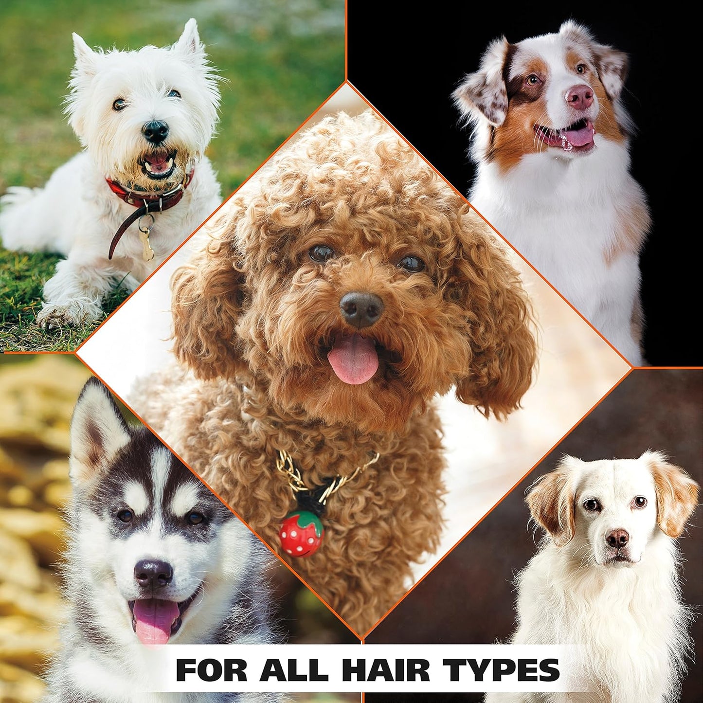 Petypure Dog Shampoo for Itchy & Sensitive Skin