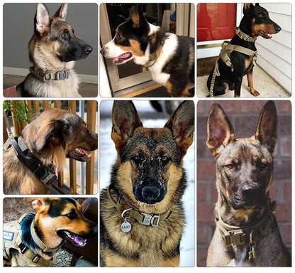 Petypure Tactical Dog Collar
