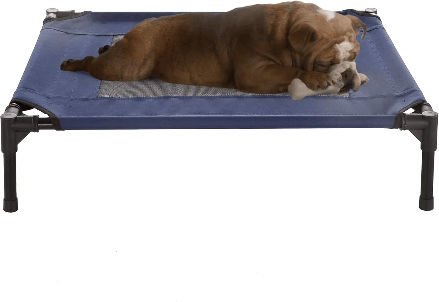 PETYPURE Cooling Elevated Dog Bed