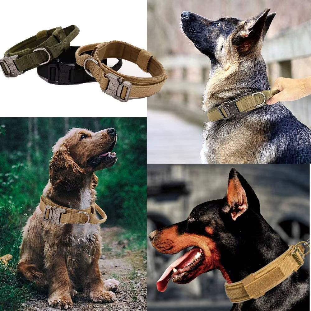 Petypure Tactical Dog Collar