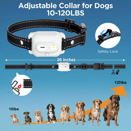 Petypure SmartTrainer 2.0 – Humane Dog Training Collar