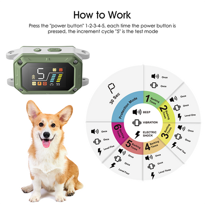 Petypure Bark Control Collar for Dogs — Beep, Vibration & Adjustable Levels
