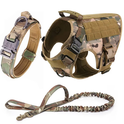 Premium Heavy-Duty Tactical Walking Kit