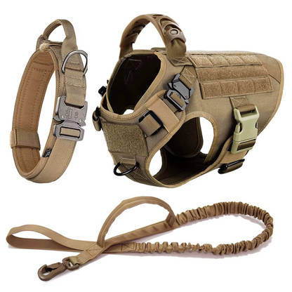 Premium Heavy-Duty Tactical Walking Kit