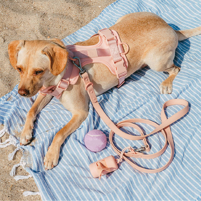 Petypure Dog Walking Kit