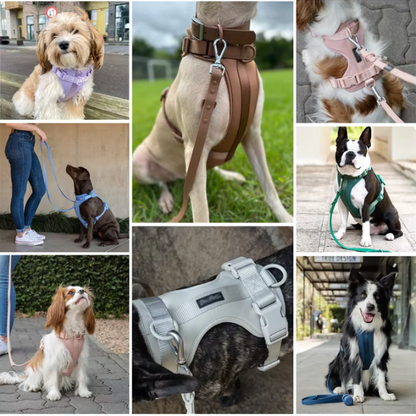 PetyPure Dog Harness