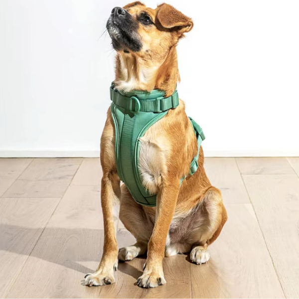 PetyPure Dog Harness