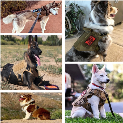 Classic Heavy-Duty Tactical Dog Harness
