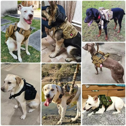 Classic Heavy-Duty Tactical Dog Harness