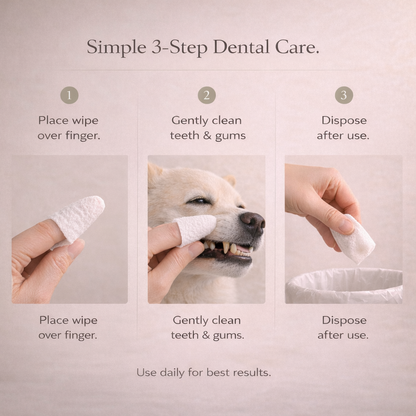 Petypure Dental Care Wipes